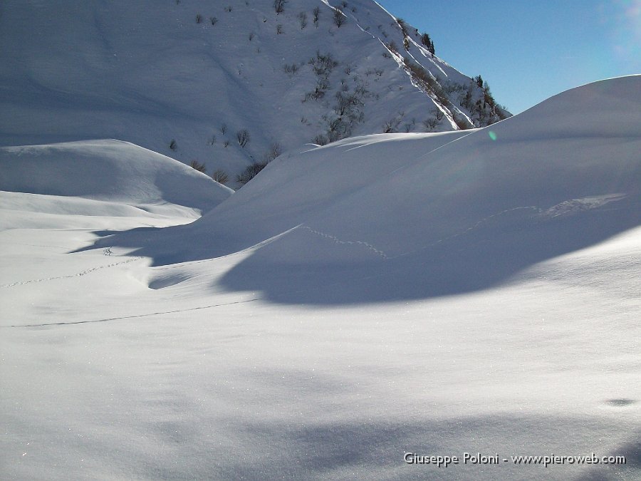 07 Grandi dune, con impronte di animali .jpg